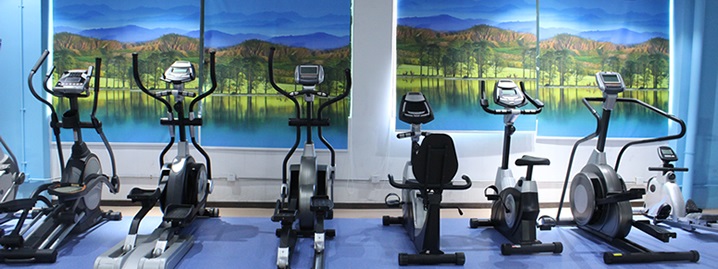 青青草官网下载健身车